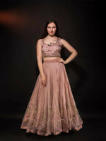 Dusty Peach Lehenga Choli With Golden Silver Embroidery